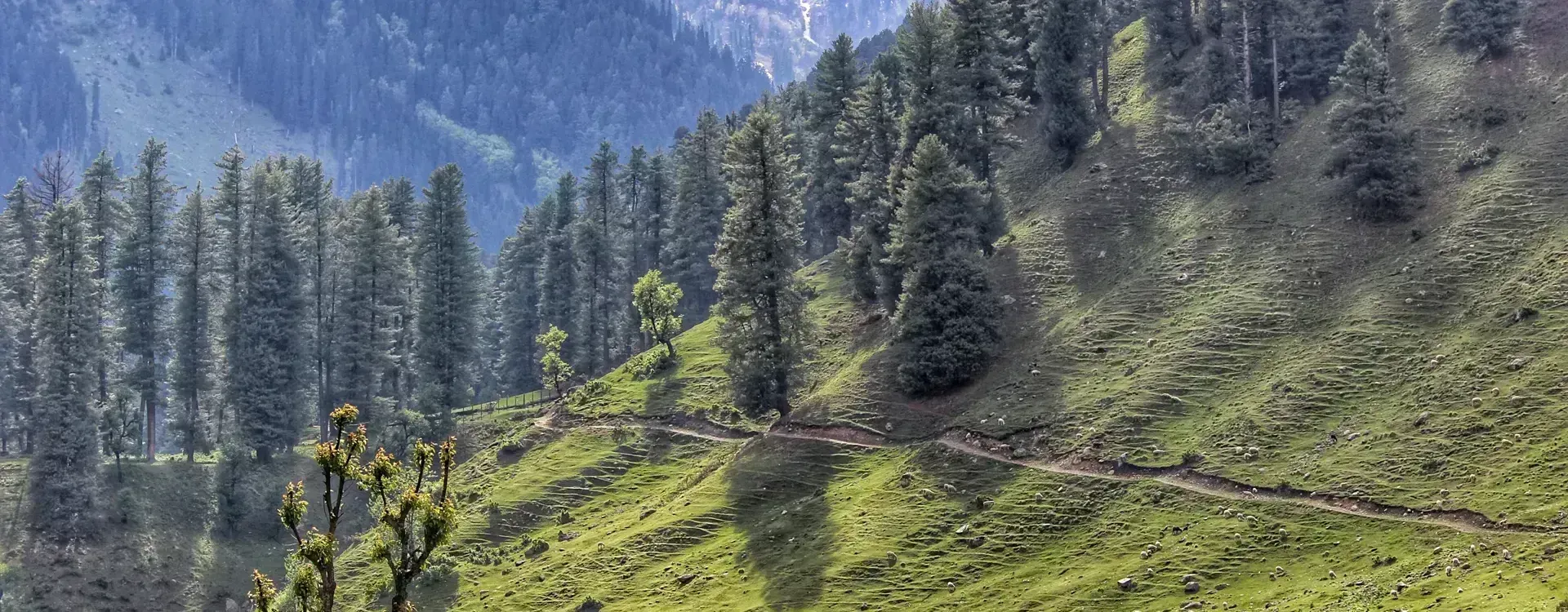 Pahalgam