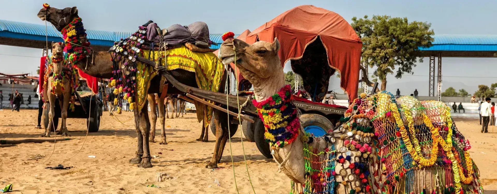 Pushkar